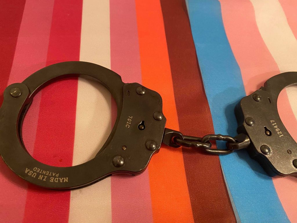 Pride Police: Hidden&nbsp;observations